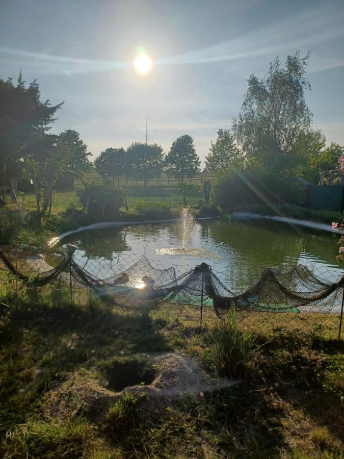 Zimmer Und Apartment Rosi Krakow am See Exteriér fotografie