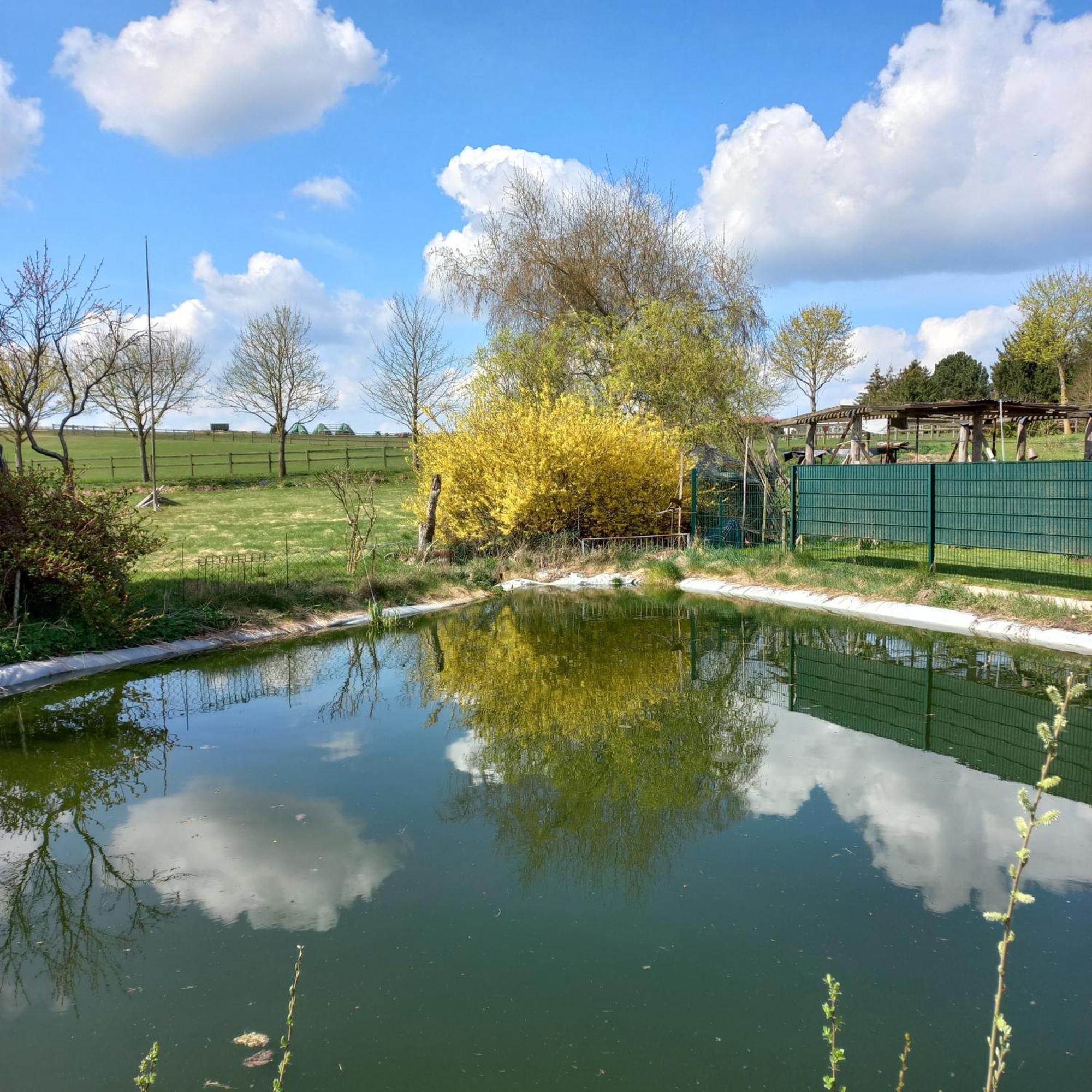 Zimmer Und Apartment Rosi Krakow am See Exteriér fotografie